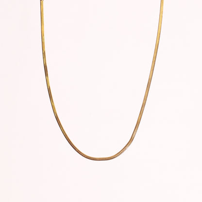 Sleek Gold beautybone Chain Necklace